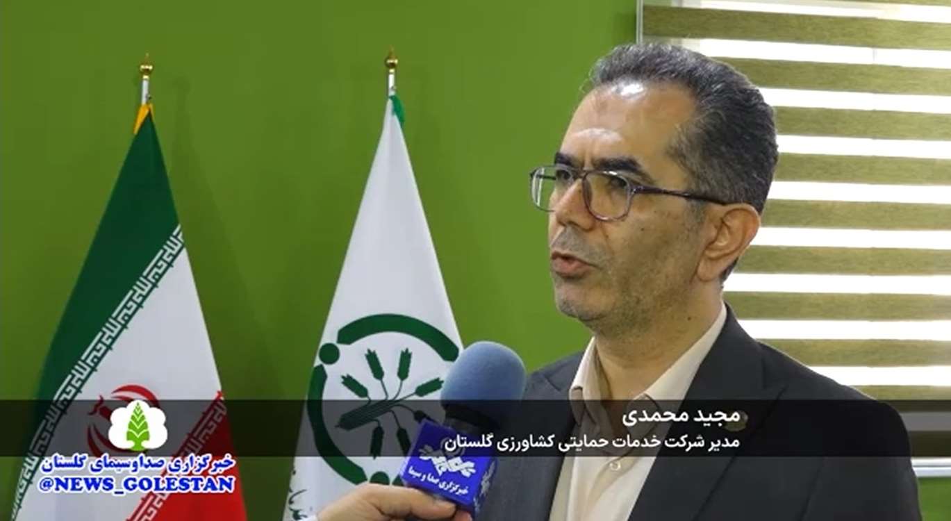 مجید محمدی 